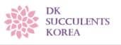 DK Succulents Korea